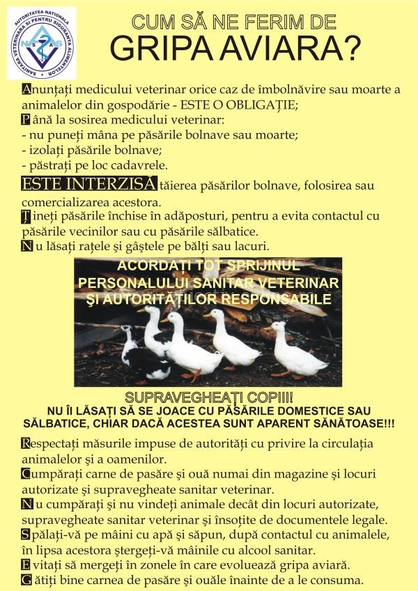 fluturas-gripa-aviara
