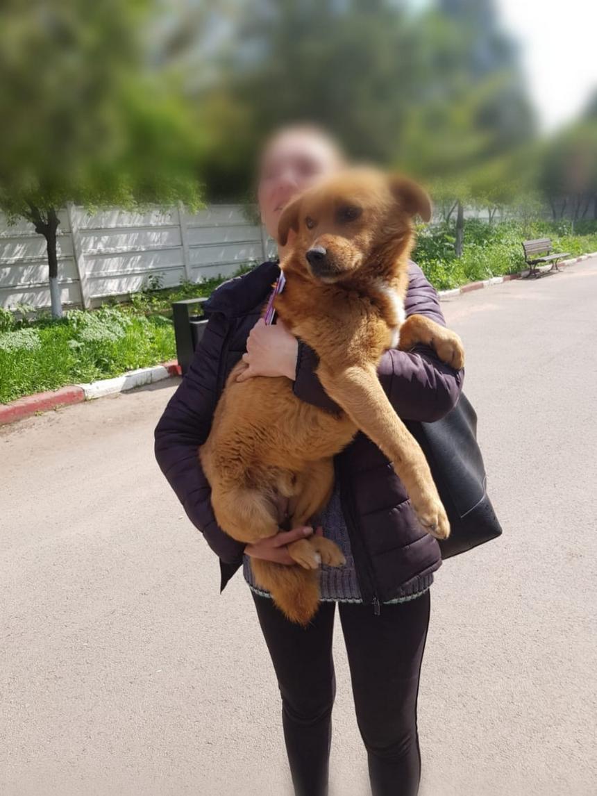adoptii-caini-10-05-2019-(1)-site
